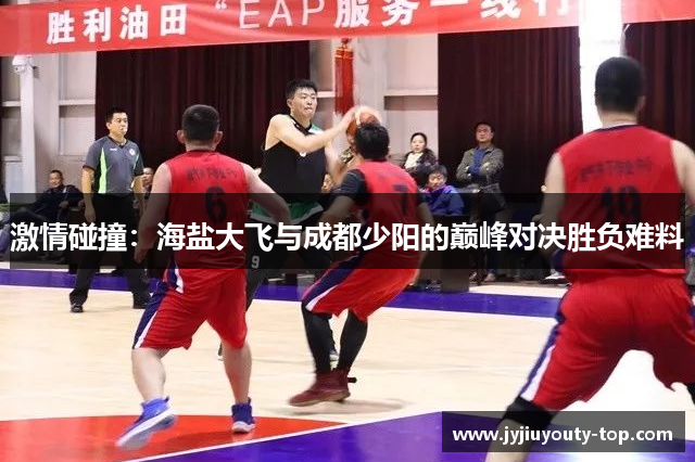 激情碰撞：海盐大飞与成都少阳的巅峰对决胜负难料