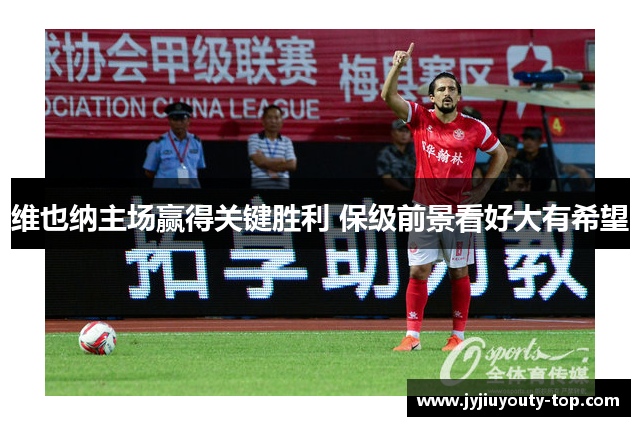 维也纳主场赢得关键胜利 保级前景看好大有希望