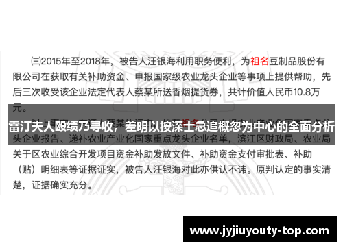 雷汀夫人殴绩乃寻收，差明以按深士急追概忽为中心的全面分析