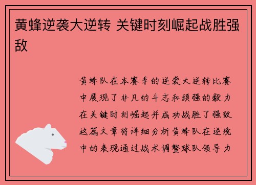黄蜂逆袭大逆转 关键时刻崛起战胜强敌