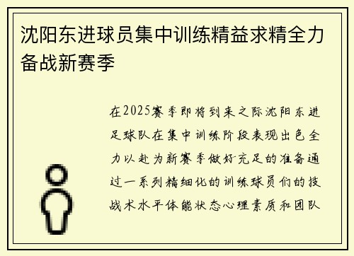 沈阳东进球员集中训练精益求精全力备战新赛季