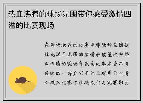 热血沸腾的球场氛围带你感受激情四溢的比赛现场